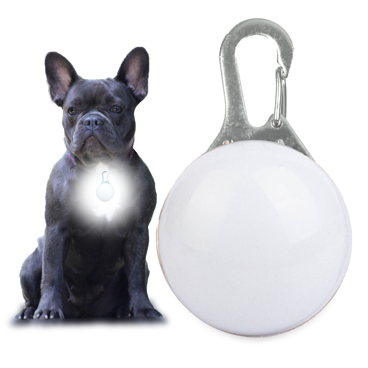 GLOWING LED LIGHT Dog Collar Pendant WHITE