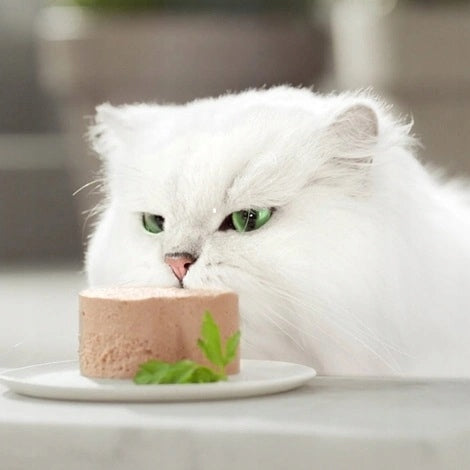 GOURMET GOLD for cat pate mousse CHICKEN 85 grams Number of pieces in the package 1 pcs