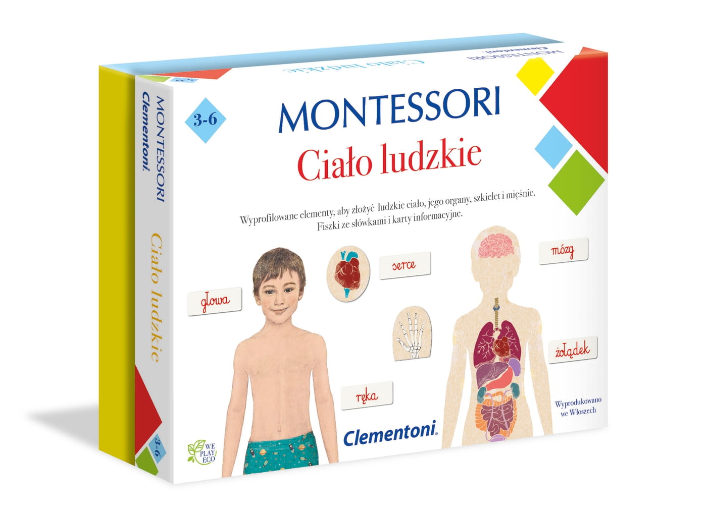 Žaidimas Montessori Žmogaus kūnas
