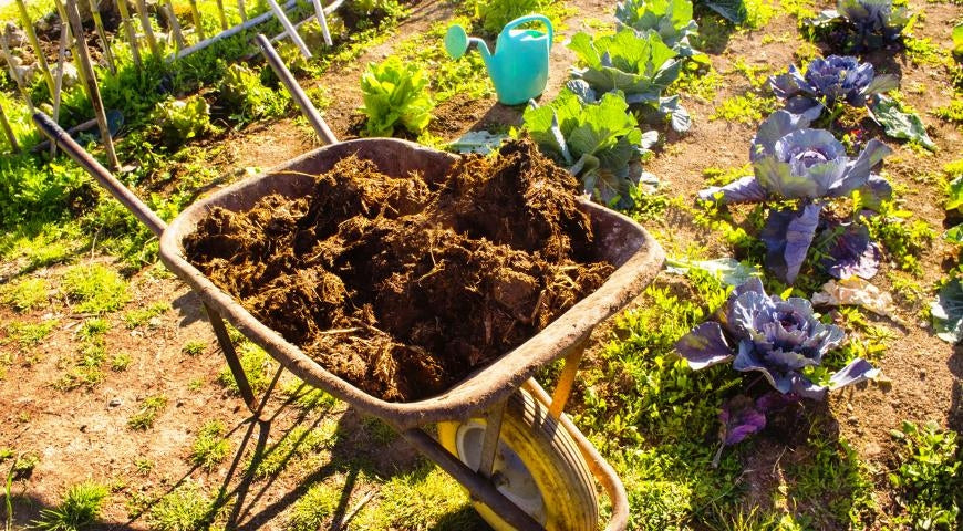 GRANULATED MANURE 2x20L 40L NATURAL ORGANIC FERTILIZER FOR PLANTS Fertilizer type organic, natural