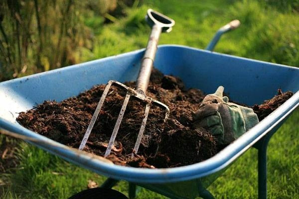 GRANULATED MANURE 2x20L 40L NATURAL ORGANIC FERTILIZER FOR PLANTS Packaging status original