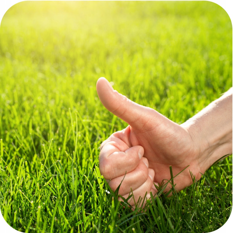 GRASS FERTILIZER 5KG MASTER LAWN FLOROVIT for lawn grass moss Manufacturer code 5900861142381
