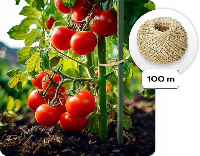 GREENHOUSE LARGE GARDEN 200x300x200CM 6 WINDOWS DURABLE WHITE CONSTRUCTION Length 3 m