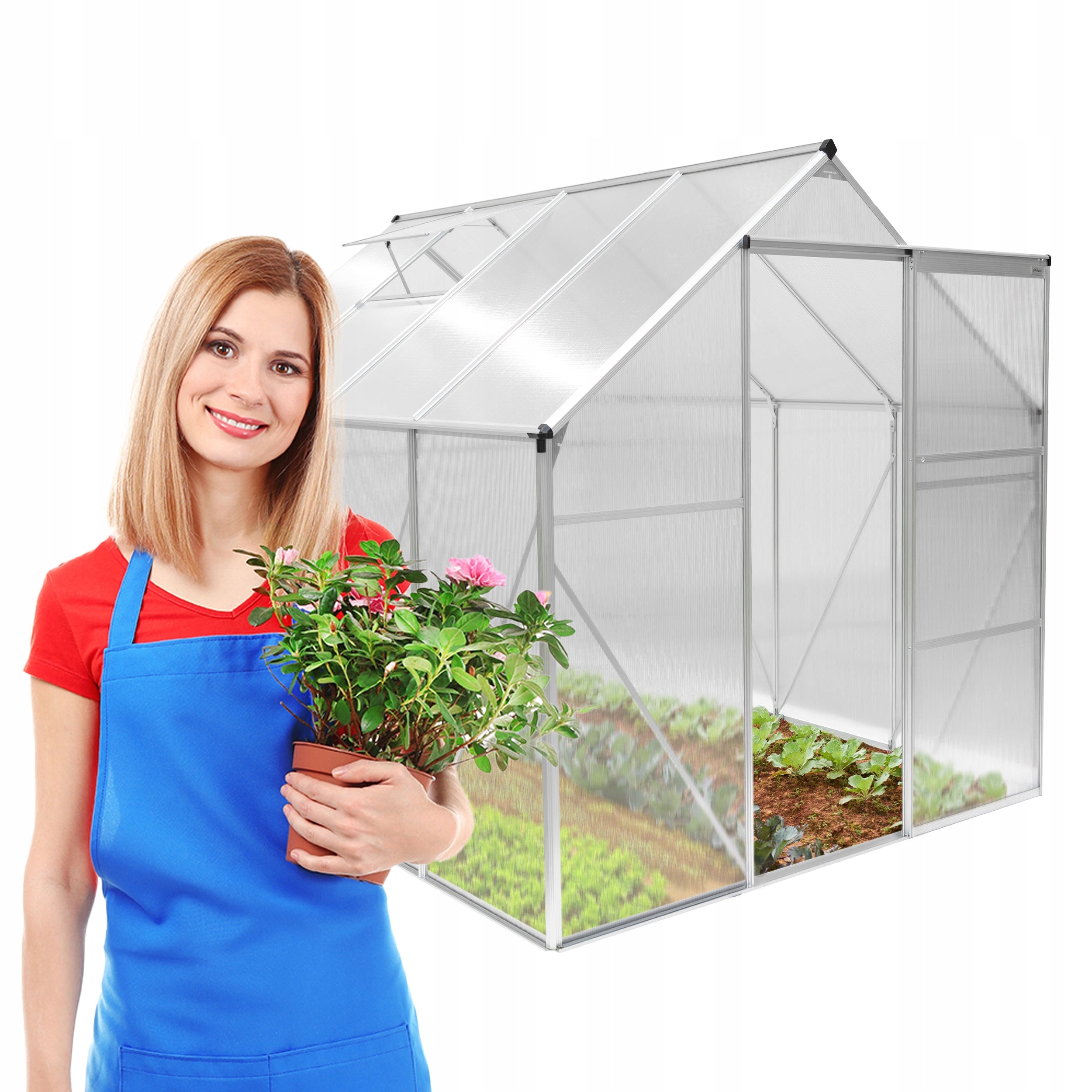 GREENHOUSE MADE OF POLYCARBONATE 4MM - 2,5x2m GARDEN TUNNEL - VIOLA II