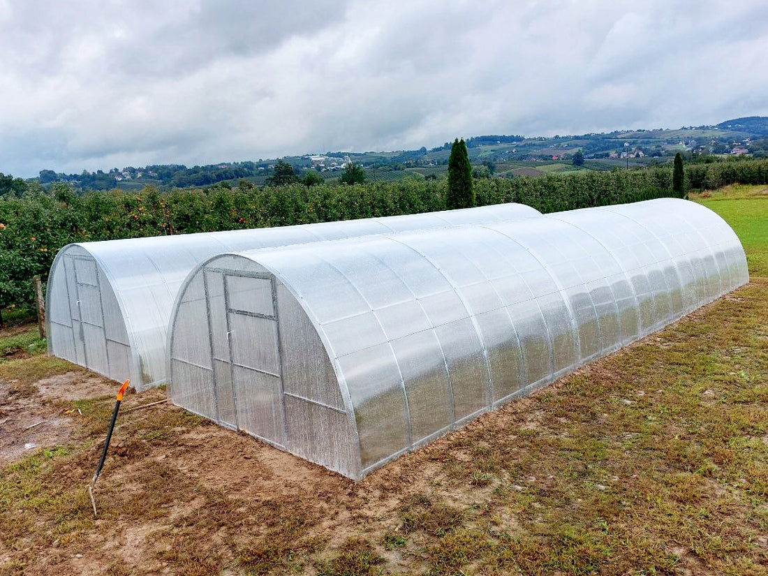 GREENHOUSE MADE OF POLYCARBONATE 6mm 3,5x8 m ZINC 40x20mm Length 8 m