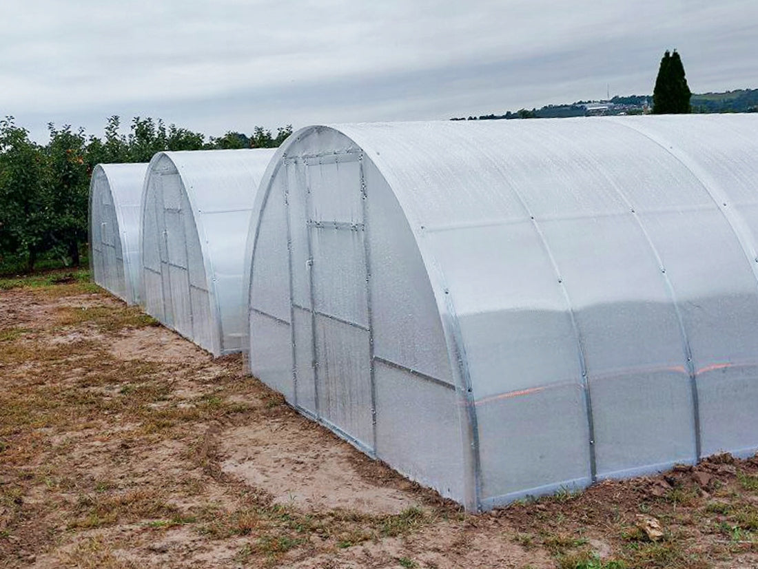 GREENHOUSE MADE OF POLYCARBONATE 6mm 3,5x8 m ZINC 40x20mm Width 3.5 m