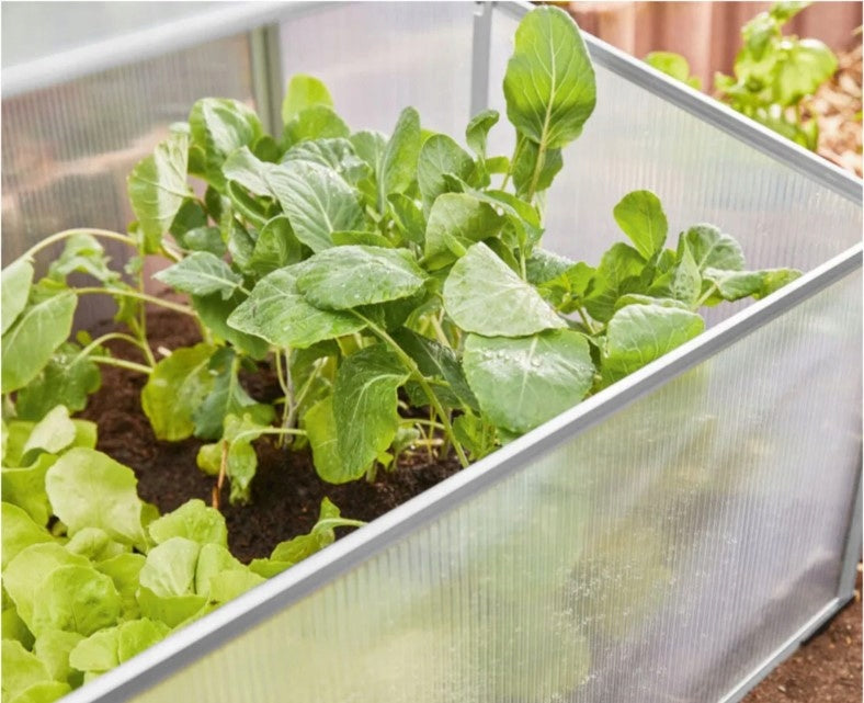 GREENHOUSE MINI INSPECT VEGETABLE HERBARIUM POLYWENGLAN ALUMINIUM 100x40x60cm Product weight with unit packaging 3.5 kg