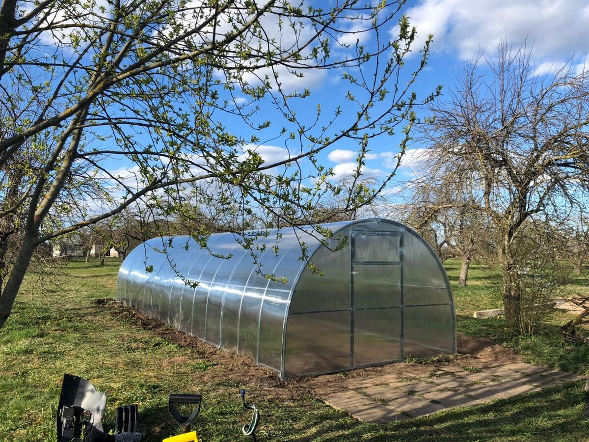GREENHOUSE POLYCARBONATE AGRONOM LUX 3x4m 4mm 40x20 Width 3.02 m