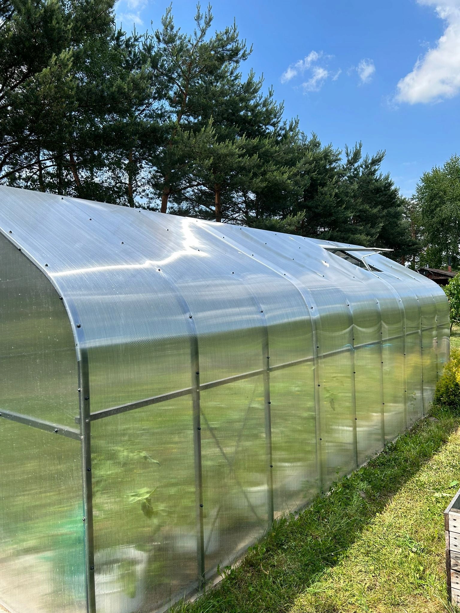 GREENHOUSE POLYCARBONATE TUNNEL 15M2 250X600 PTF POLAND ANTHRACITE GREY Product height 220 cm