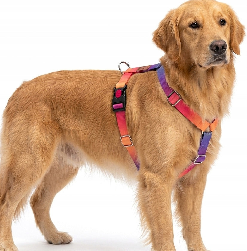 GUARD HARNESS FOR DOG ADJUSTABLE STRONG PRESSURE-FREE COMFORTABLE DECENT ros. M Brand Reverse