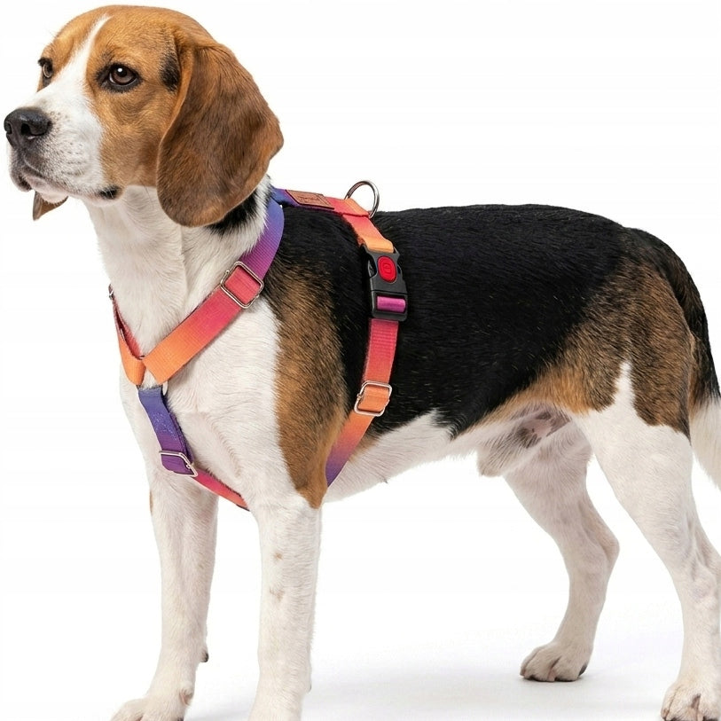 GUARD HARNESS FOR DOG ADJUSTABLE STRONG PRESSURE-FREE COMFORTABLE DECENT ros. M Kind walking harness