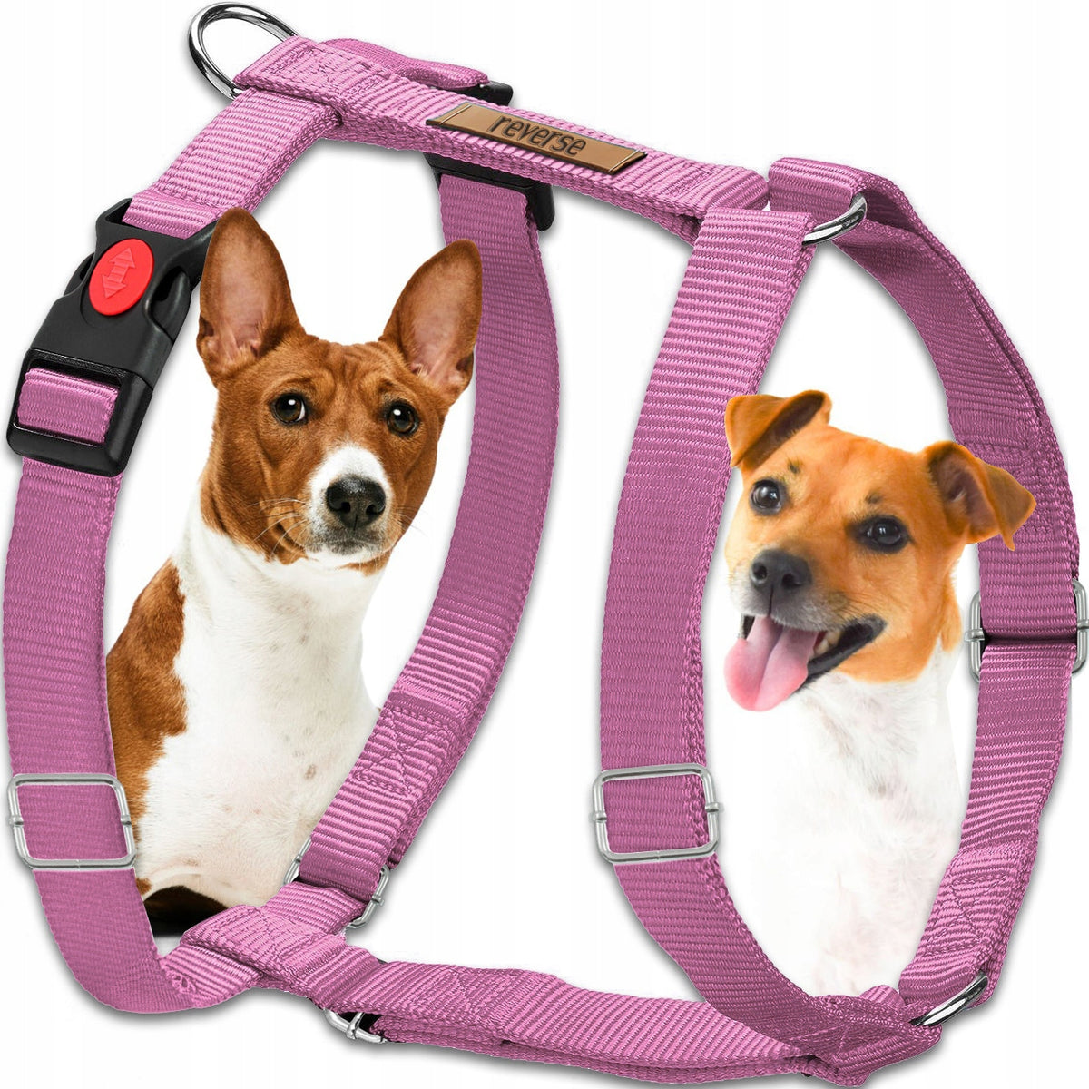 GUARD HARNESS FOR DOG ADJUSTABLE STRONG PRESSURE-FREE COMFORTABLE DECENT ros. XL
