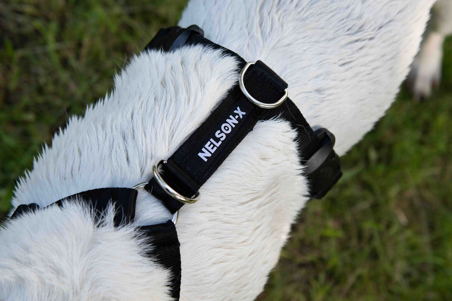GUARD HARNESS FOR DOG NELSON-X DUO M POLISH STRONG ADJUSTABLE PREMIUM Trade name nelson-x-duo