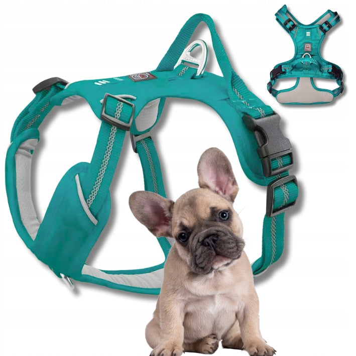 GUARD HARNESS for dog ADVENTURE strong adjustable comfortable PREMIUM turquoise S