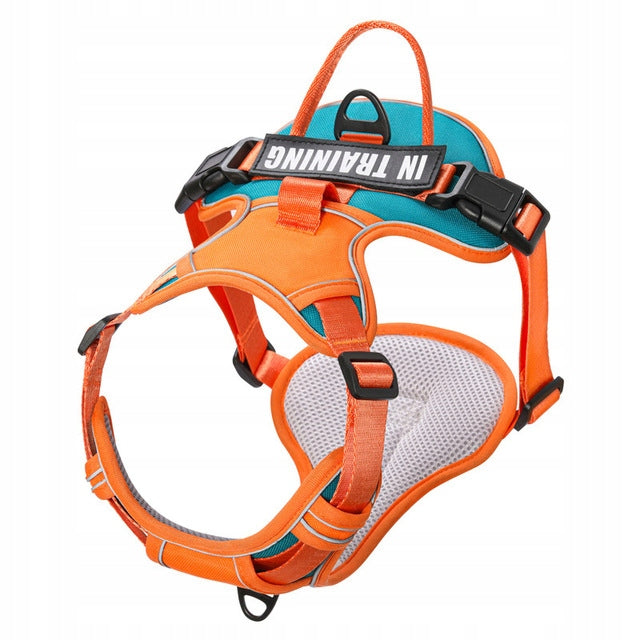 GUARD PRESSURE-FREE DOG HARNESS STRONG LIGHTWEIGHT PREMIUM Roz L Manufacturer code DOGSY SZELKI BEZUCISKOWE DLA PSA ROZMIAR L
