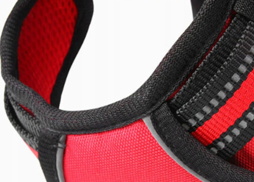 GUARD PRESSURE-FREE HARNESS for dog ELITE XL red Color black