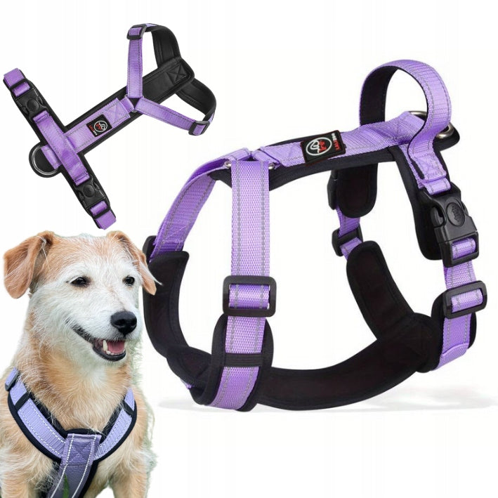 GUARD adjustable dog harness CAPRI purple size XL