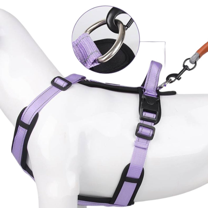 GUARD adjustable harness for small dog CAPRI black size S Brand Lalazoo
