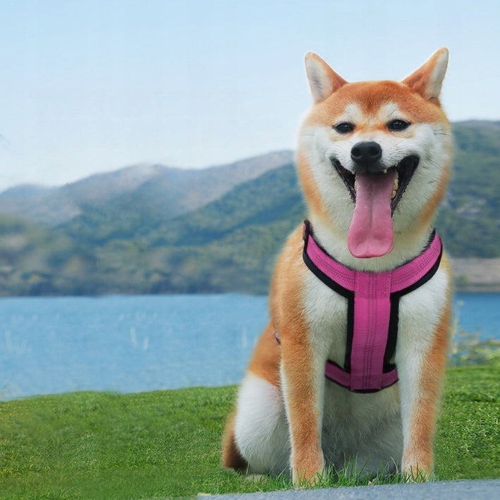 GUARD dog harness adjustable pressure-free CAPRI FUCHSIA size L Trade name CAPRI