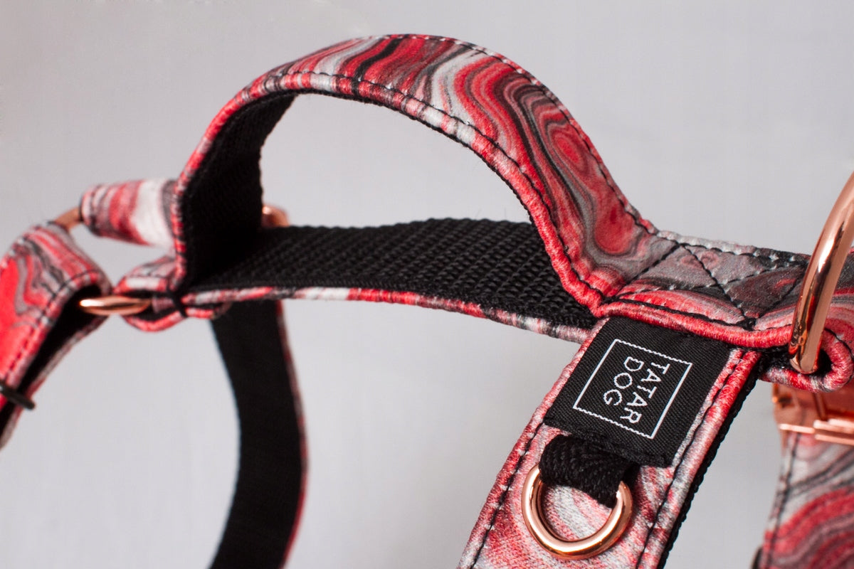 GUARD walking harness for dog comfortable RED M Packaging status original