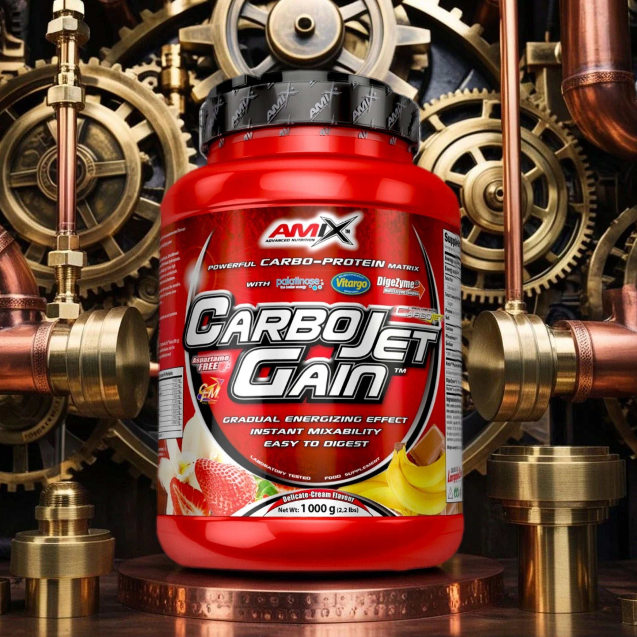 Gainer WPI CFM Vitargo Carbohydrates CarboJet Gain Vanilla Medical device no