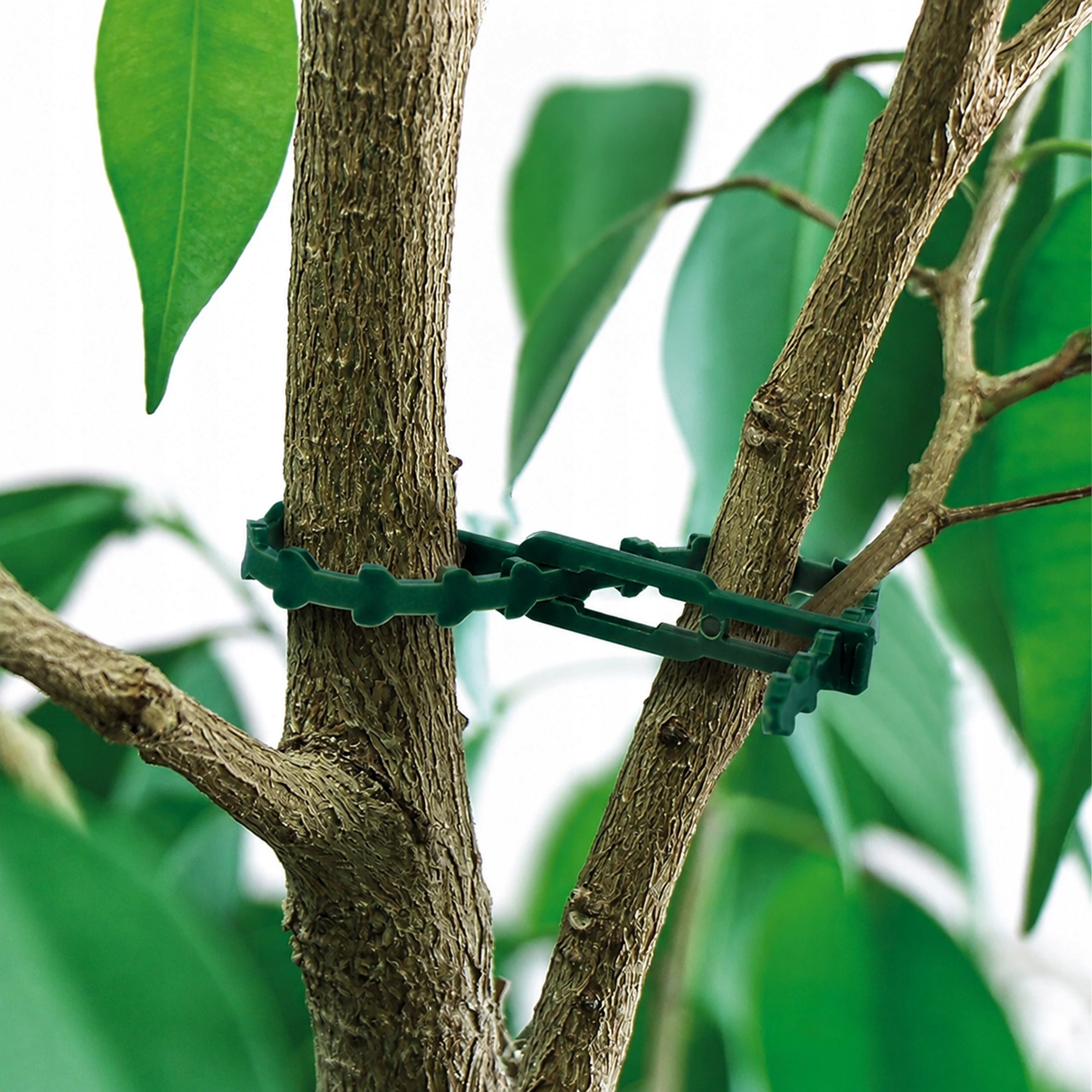 Garden Headbands 100pcs Clamp for Climbing Flower Plants Adjustable 23cm Customs tariff code 39269097