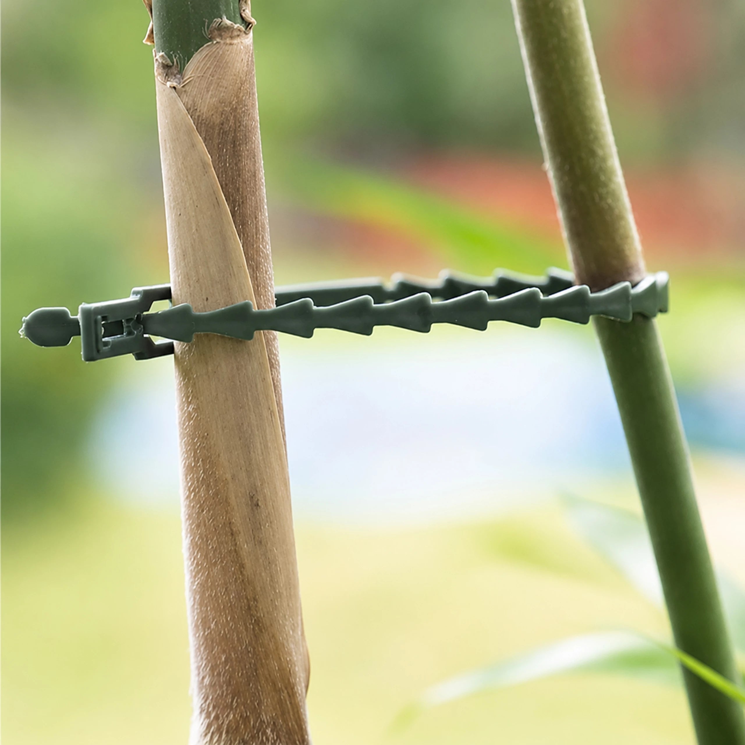 Garden Headbands 100pcs Clamp for Climbing Flower Plants Adjustable 23cm Dominant material plastic