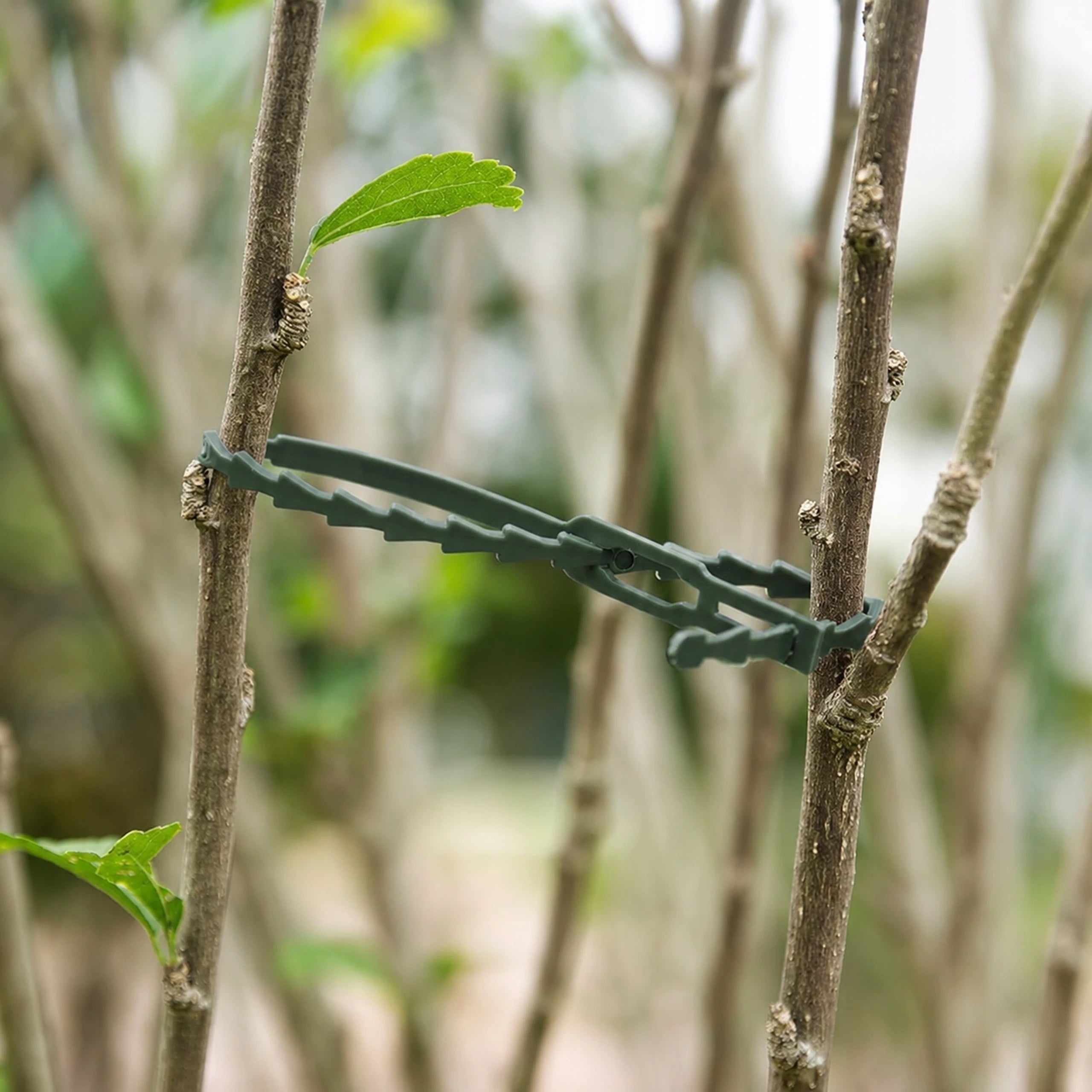 Garden Headbands 100pcs Clamp for Climbing Flower Plants Adjustable 23cm Number of pieces 1 pcs
