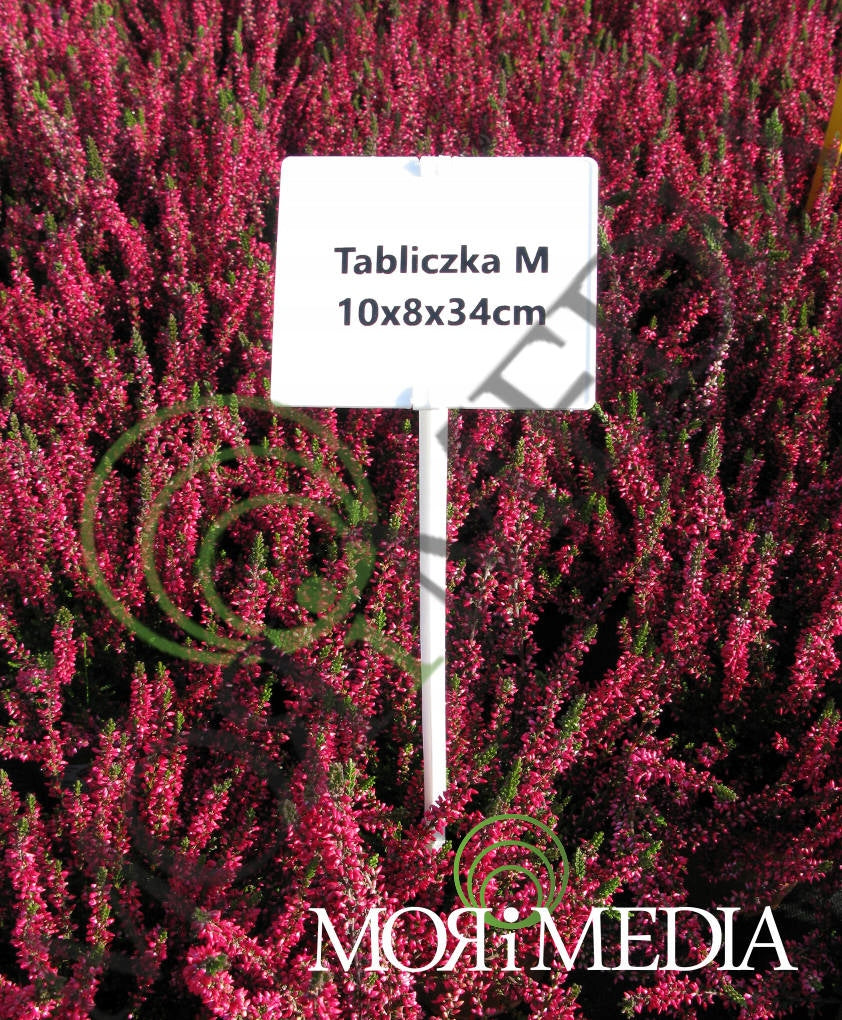 Garden Label Plates for Flower Plants M Brand no brand