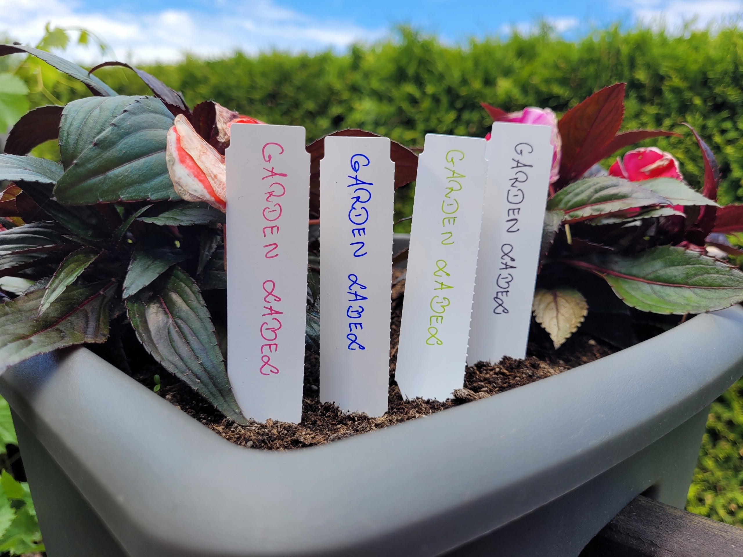Garden Labels Pluggable Writing Arrows WHITE 105x23,5mm 100+MARKER Number of pieces 100 pcs