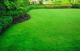 Garden Lawn 25 kg EAN (GTIN) 5905548692814