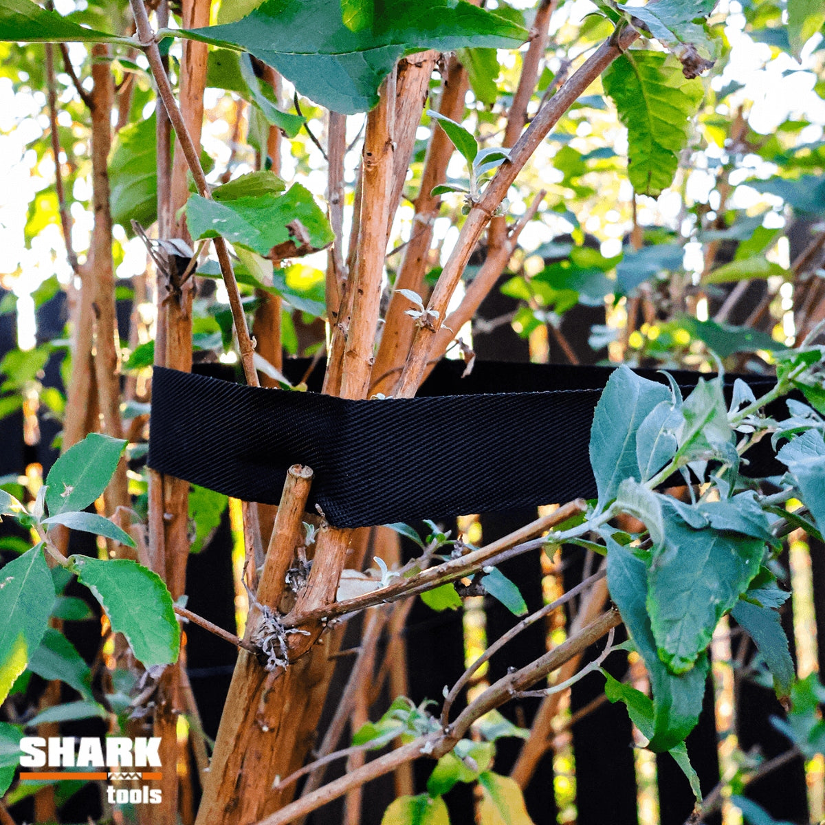 Garden Plant Tiling Tape for Fixing Shrub Trees 50m Manufacturer code taśma do mocowania drzewek roślin