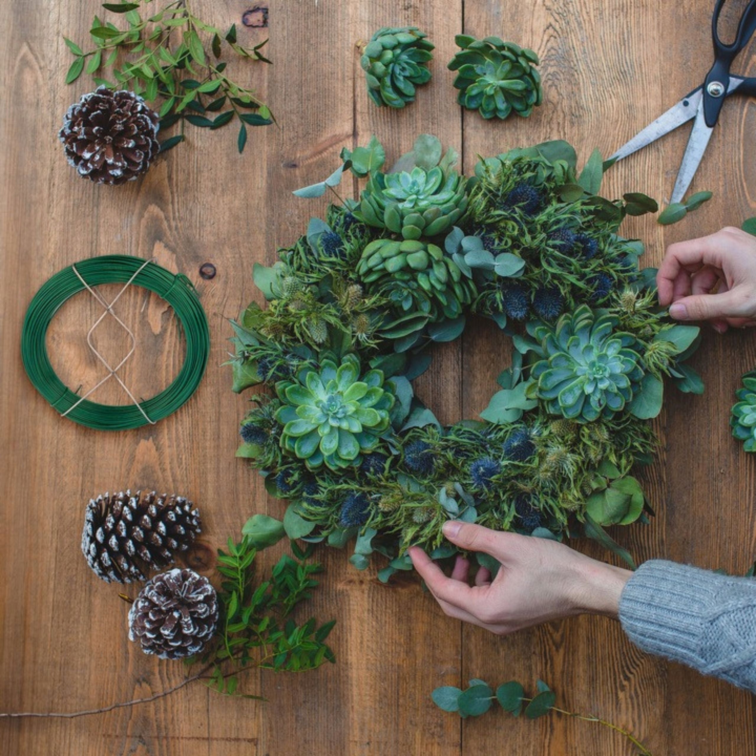 Garden Wire Flexible Durable For Plant Tiling 50mb/0,8mm Color green