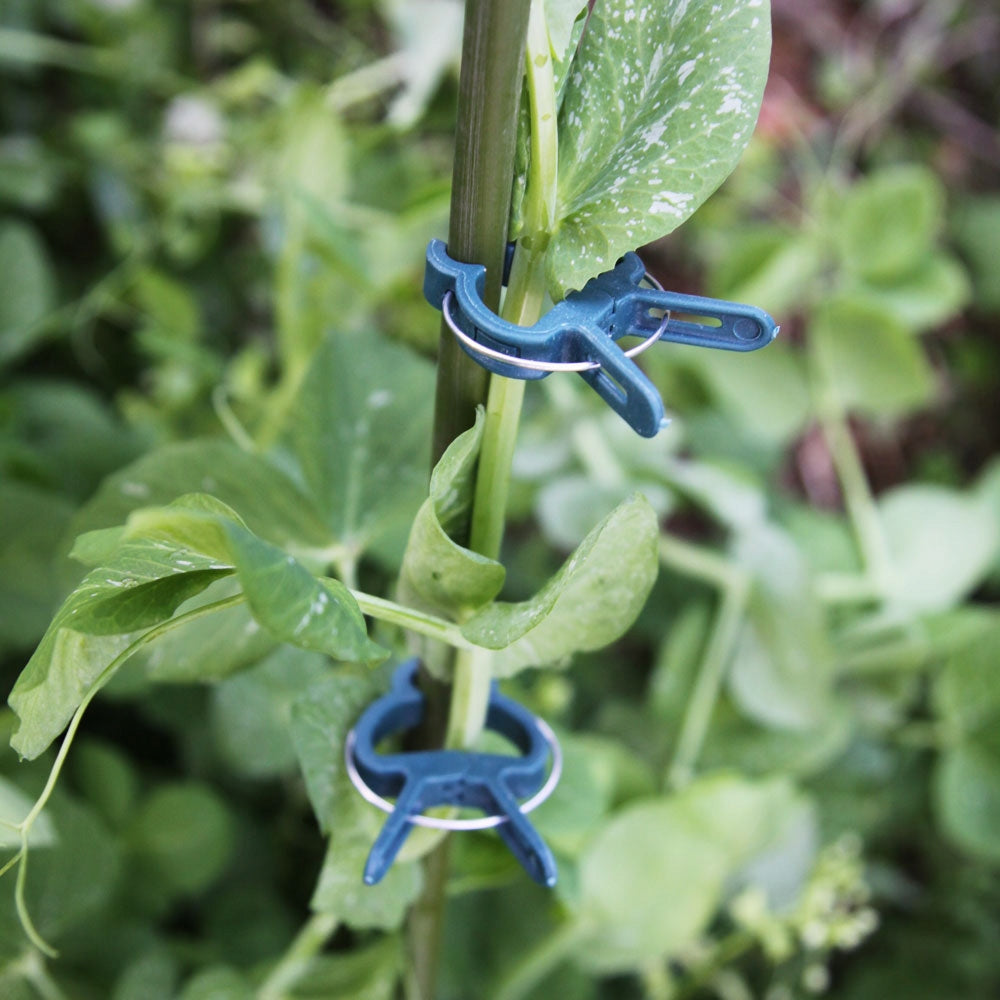 Garden clips for plants Green clips MIX sizes 20 pcs. Number of pieces 20 pcs
