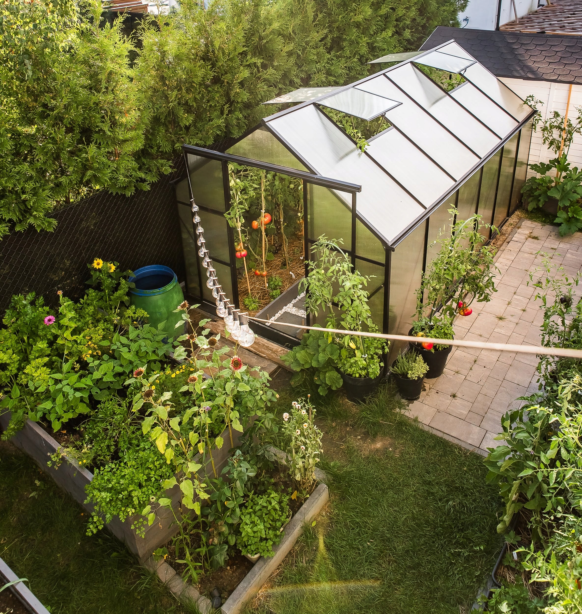 Garden greenhouse Stimeo A1 Premium 509x244cm 12,5m2 Manufacturer code A1 Premium