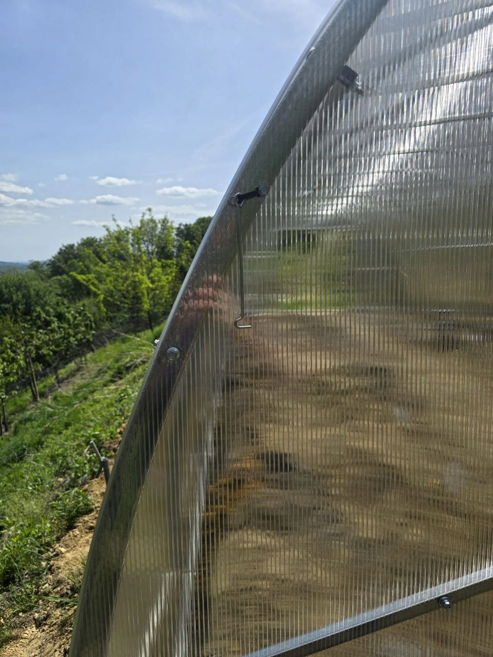 Garden tunnel greenhouse polycarbonate 6mm PROSTOR 4x6m profile 20x40mm Thickness 6 mm