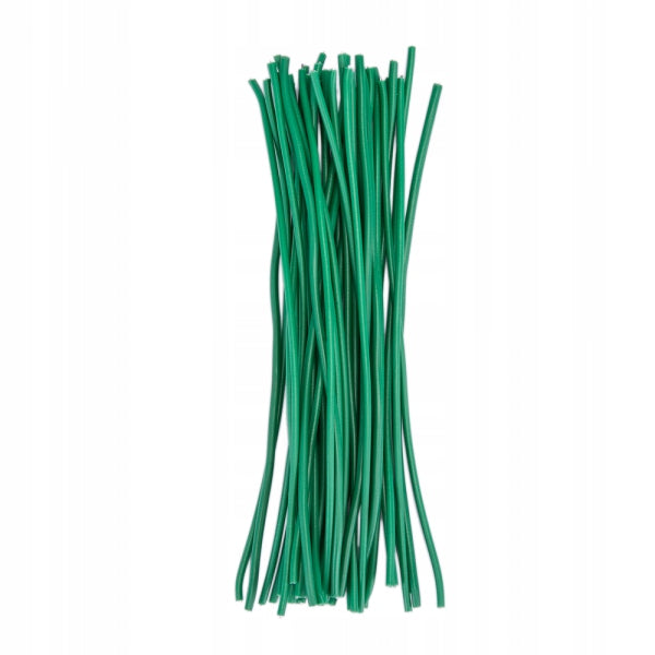 Garden wire SOFT cut 25cm 40pcs TYDS3X020/40 Color green