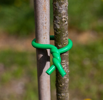 Garden wire for ligating high-foaming plants in PVC 3mmx8m Green Packaging status original