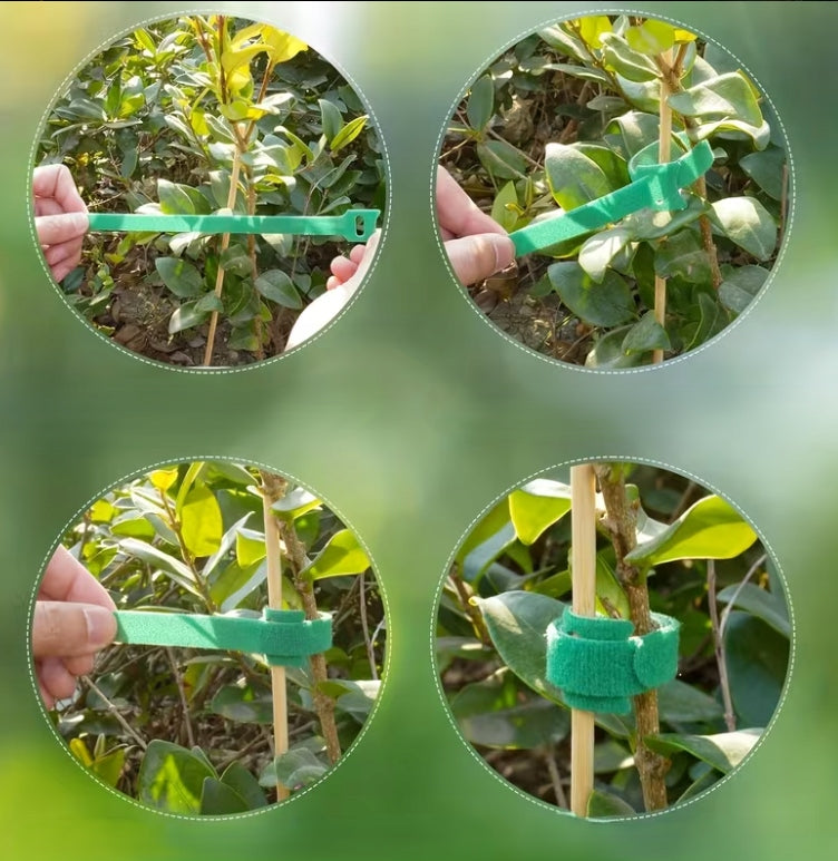 Gardening Headbands Supporting Plants 100pcs Green 15cm Stable Brand no brand