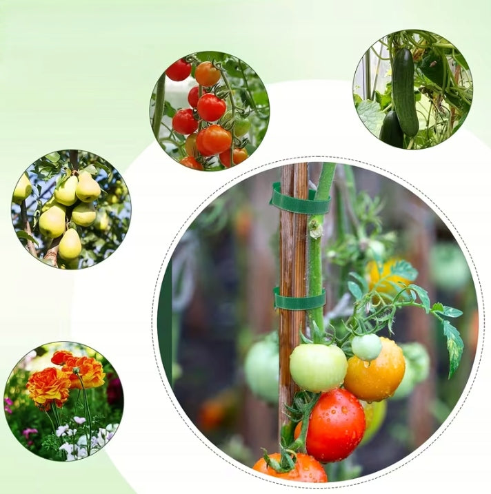 Gardening Headbands Supporting Plants 100pcs Green 15cm Stable Number of pieces 100 pcs