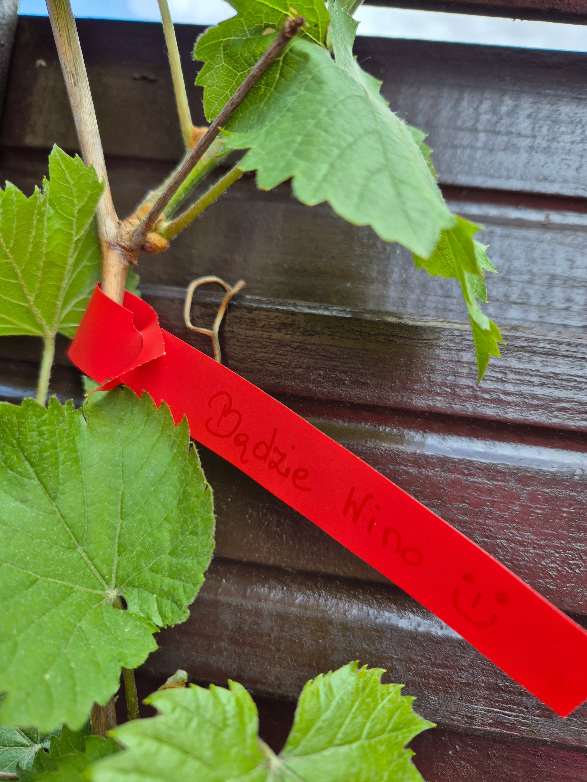 Gardening Loop Labels for Writing RED 200mm x 17mm (17x200) 100 Number of pieces 100 pcs