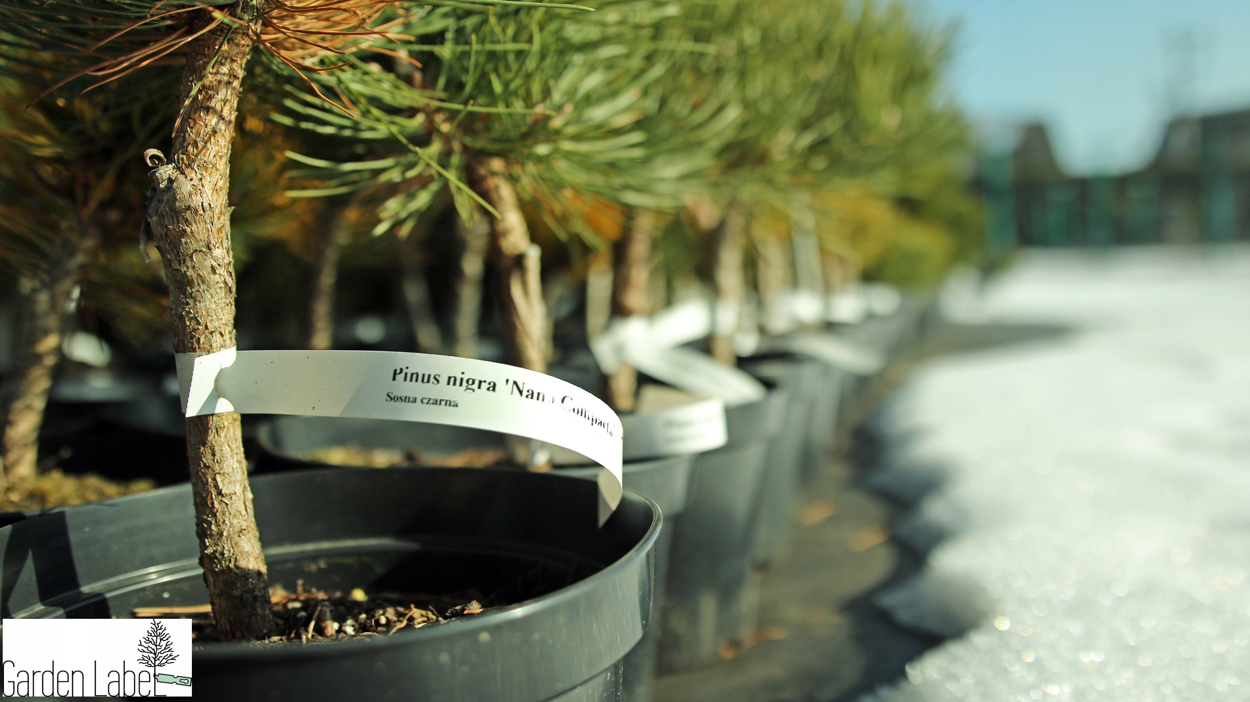 Gardening Loop Labels for Writing WHITE 160mm x 17mm (17x160) 100 pcs Manufacturer code 5906477685106