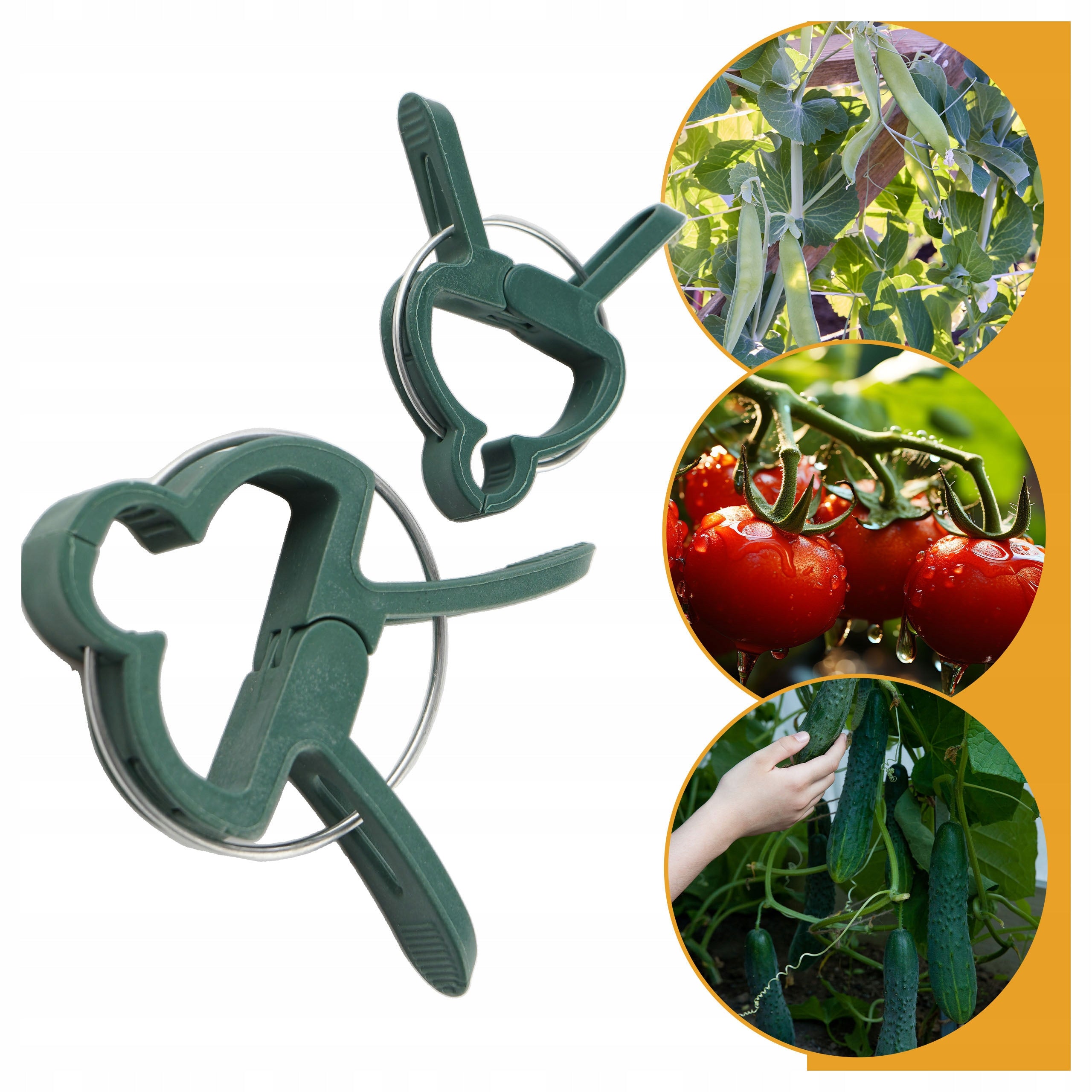 Gardening clips for tomatoes 20 pcs 2 sizes of shoot stem clasp Brand Begris