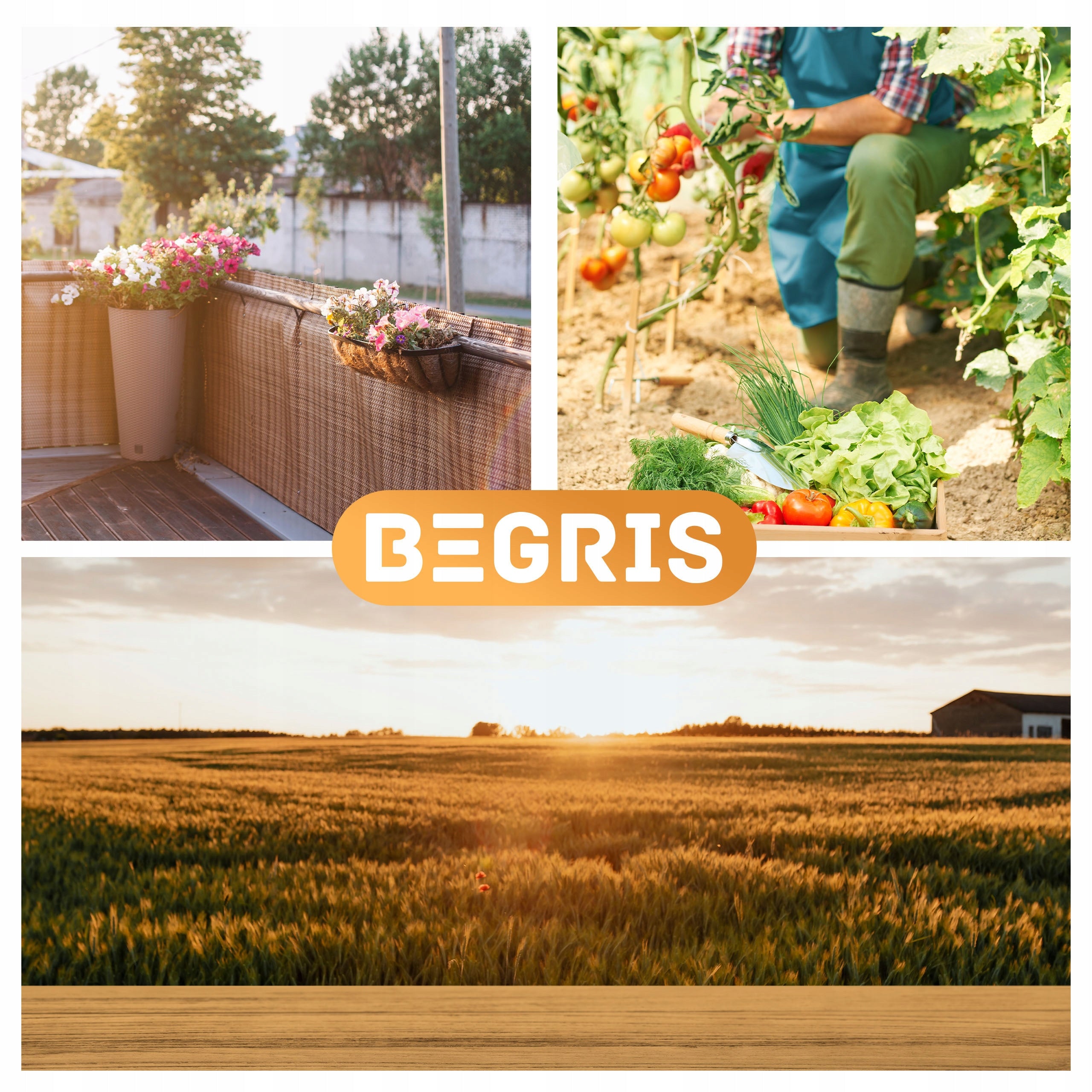 Gardening clips for tomatoes 20 pcs 2 sizes of shoot stem clasp Product width 23 cm