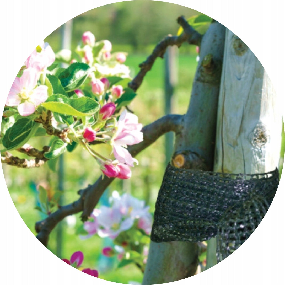 Gardening tape Bradas TYT3X50 3cm x 50m for plant tree ligation Manufacturer code Taśma Ogrodnicza