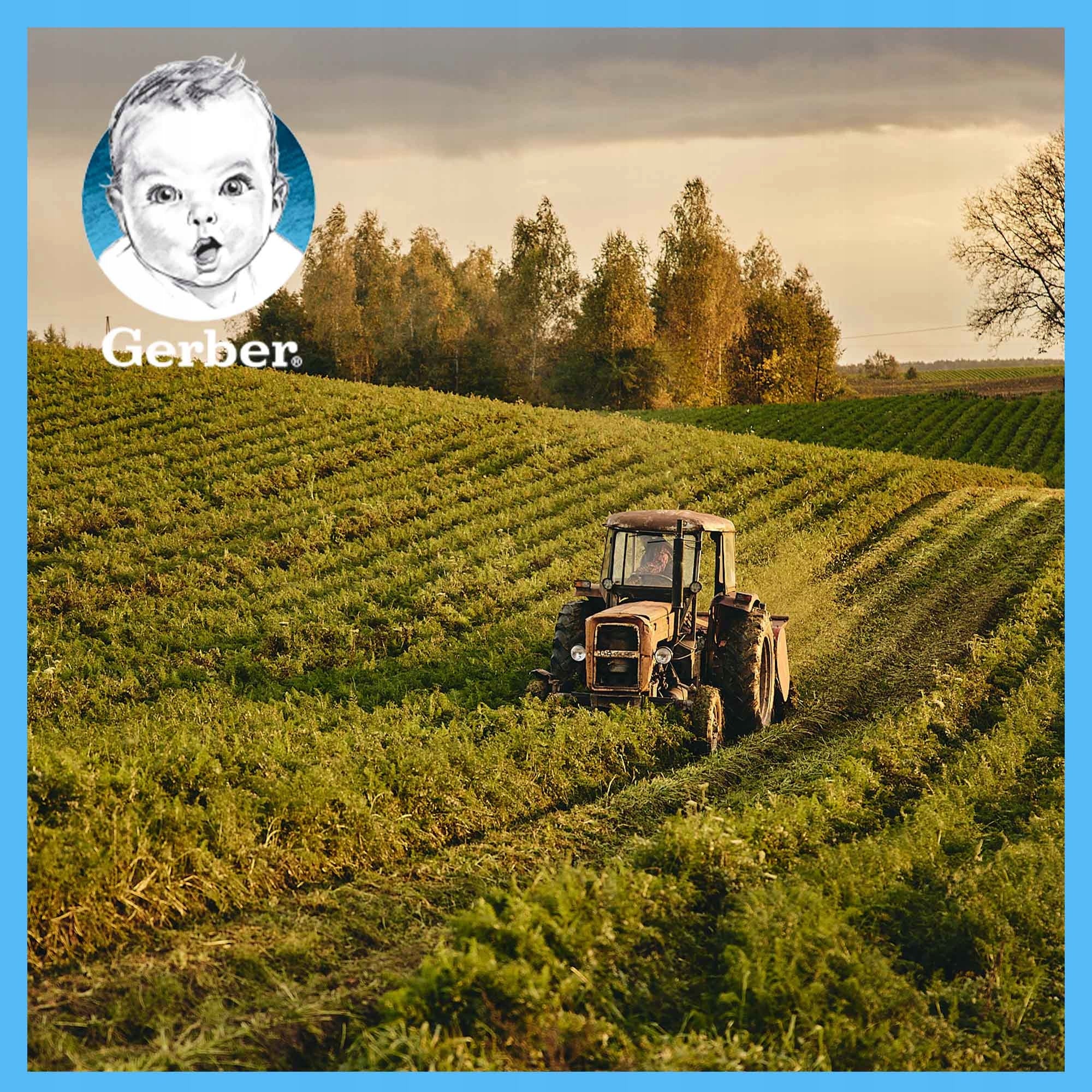 Gerber Junior Delicate cauliflower-broccoli soup 1-3 years 250 g Brand Gerber