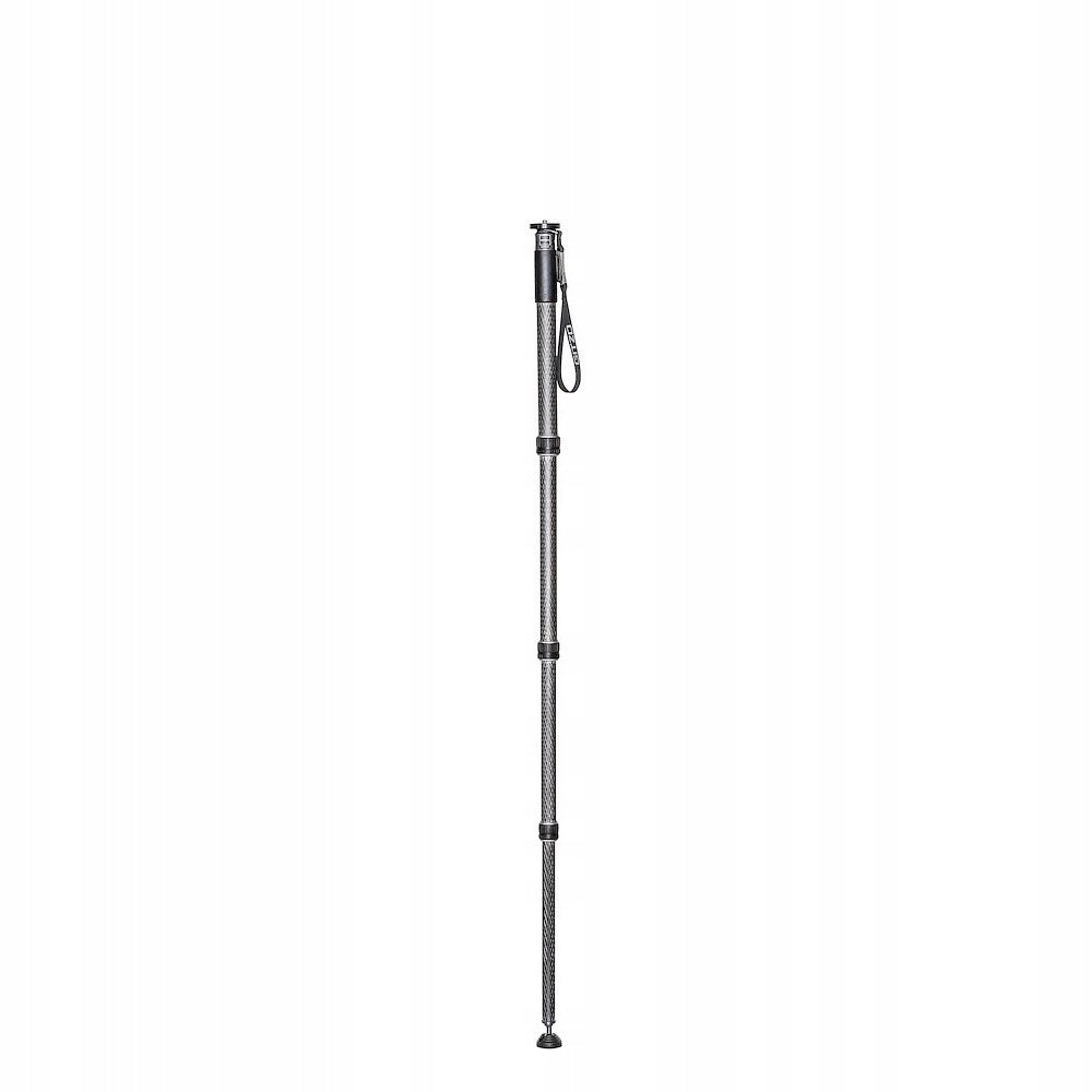 Gitzo monopod GM4542