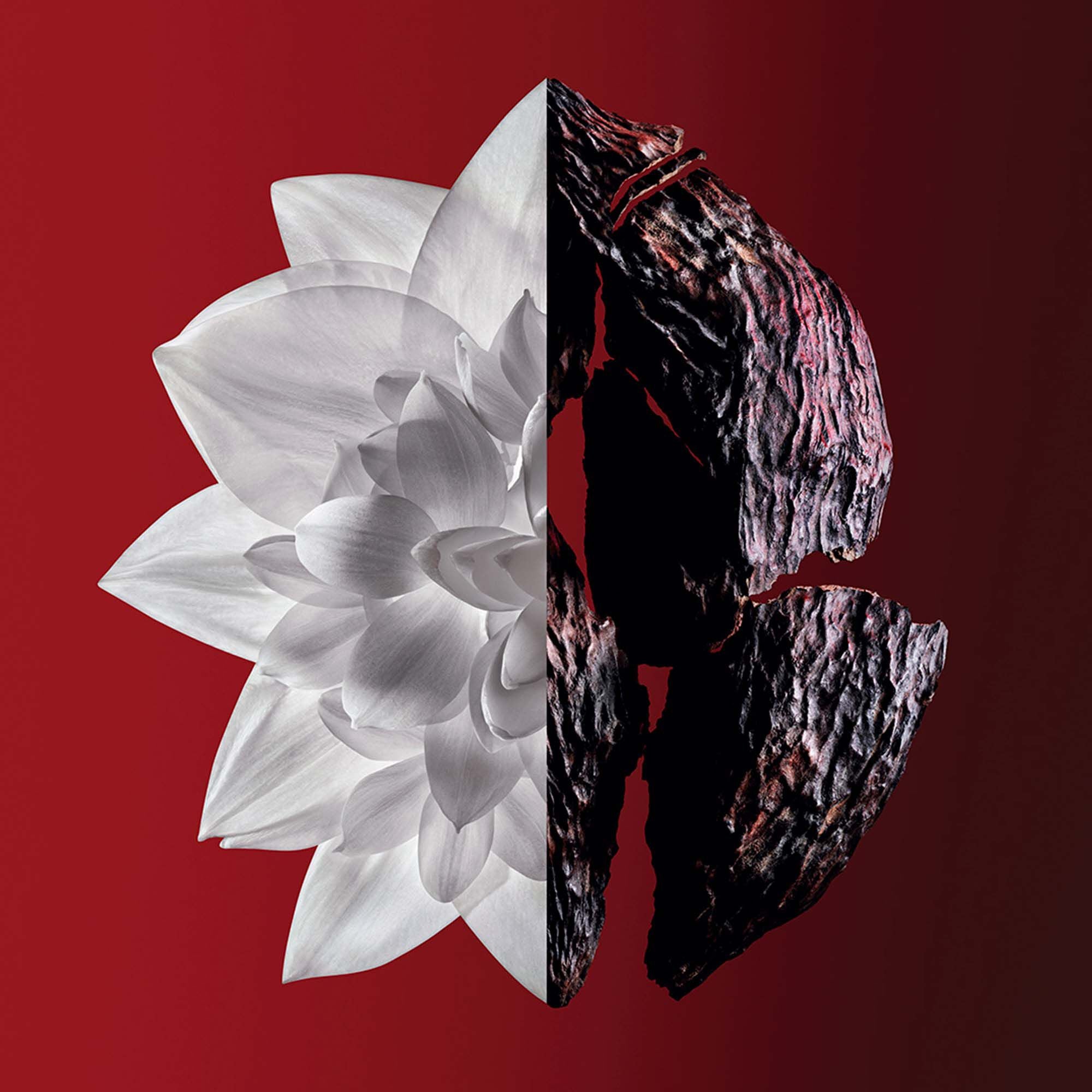 Givenchy L'Interdit Eau de Parfum Packaging volume 50 ml