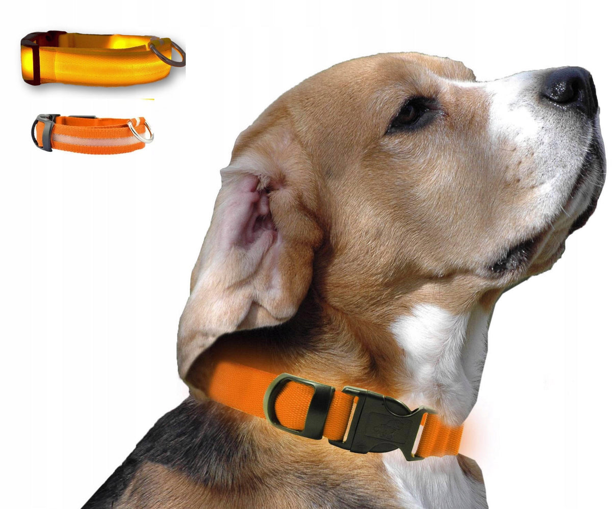 Glowing Battery Operated LED Dog-Cat Collar L- BLUE GLOWING Manufacturer code DLA PSA ŚWIECĄCA OBROŻA MATERIAŁOWA NIEBIESKA