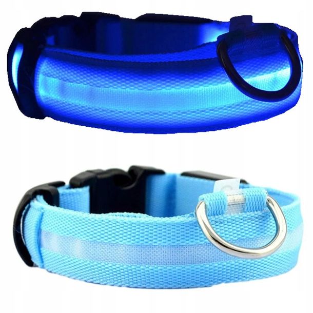 Glowing Battery Operated LED Dog-Cat Collar - L Blue LED